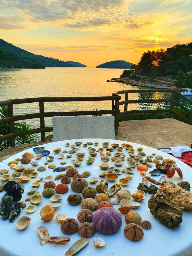 Appartamento Casa Naranja Croatia Vela Luka Esterno foto
